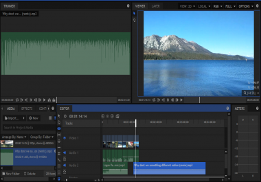 I provide professional editing service