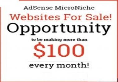 Micro Niche Adsense Websites For Sale.