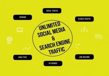 Quality Traffic to your Website or Blog for 2 months