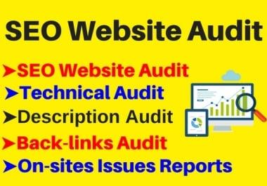 In Depth Website Audit And Spy Report
