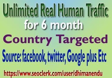 Unlimited Real Human Country Targeted Website TRAFFIC for 6 months