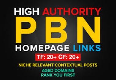 12 High PA DA TF CF Homepage PBN BACKLINKS TO SKYROCKET YOUR SERP