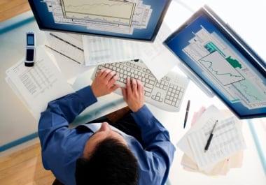 Data Analyst - Data Entry - Data Conversion