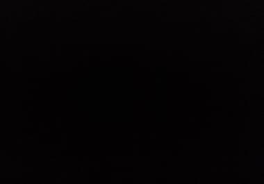 Micro niche adsense website for sale