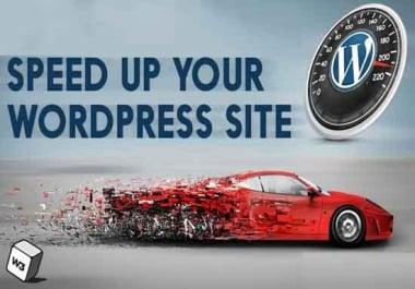 wordpress speed optimization to elevate google page speed