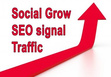 seo traffic work for you social or website to grow people