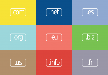 Best Domain Name for your niche