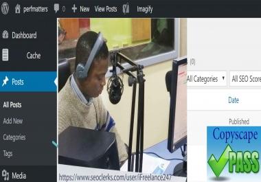 Publish 1 HQ Content Daily SEO Article Writer Writing 600 Words,  SEO Article to your Blog