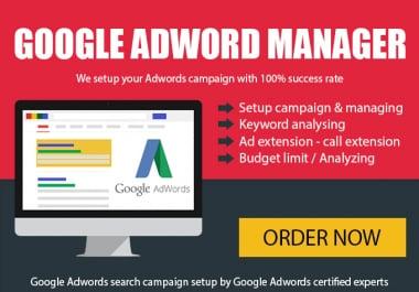 Create Google Adword Campaign and manage for 14 Days
