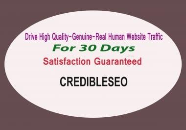 Provide High Quality, Genuine, Real Human Website Traffic Visitor For 30 Days
