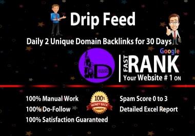Drip Feed,  Daily 2 Unique Domian Backlinks Of Da 20 Plus