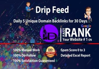 Drip Feed,  Daily 5 Unique Domian Backlinks Of Da 10 Plus