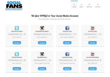 Social Media Growth Reseller Business - Newbie friendly