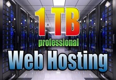 To Provide 1tb Professional cPanel USA Web Hosting + Support