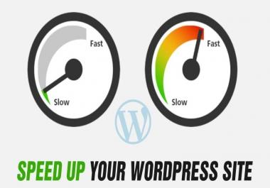 Speed Up and Optimize Wordpress Site