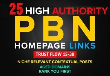 LOWEST PRICE 10 Homepage Permanent TF 20+ Sticky Posts Forever