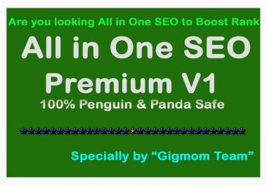 All in One SEO - Premium V1