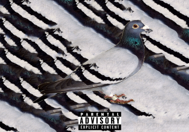 album cover art for websites