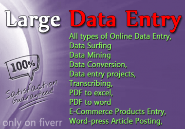 I'll be your data entry specialist