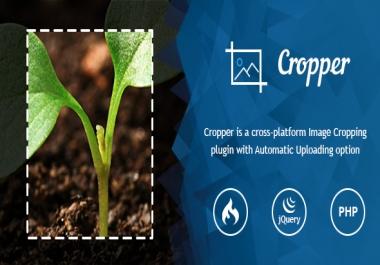 Ultra Image Cropper &ndash Plugin built on CorePHP and CodeIgniter