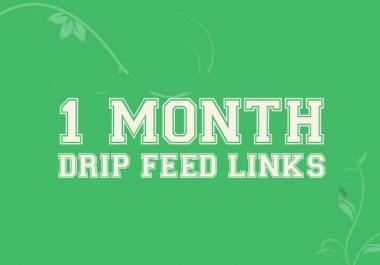 Daily Manual Drip Feed Penguin Safe 30 Actual PR3+ Low Obl Backlinks For 30 days