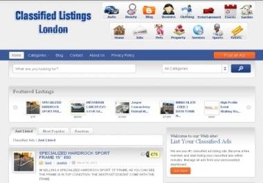 build you professional classifiedads website on wordpress