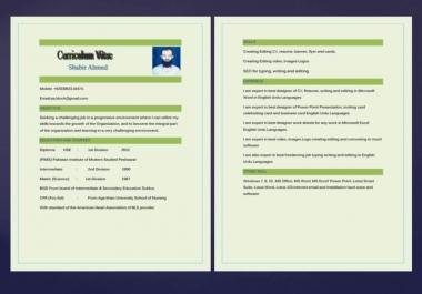 Resume CV writing editing and updating in MS word