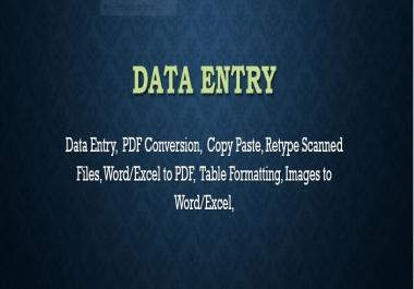 Do any Type of Data Entry, Excel Data Entry,  PDF Conversion