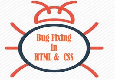 Fix your website bugs