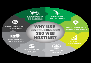 SEO HOSTING - C-CLASS IP's-30