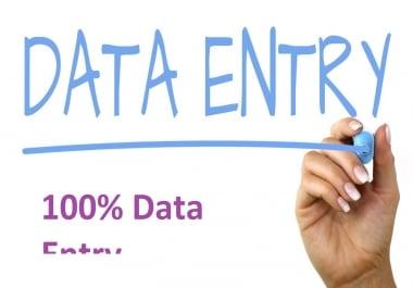 I Can do your any Data Entry Projects for you.