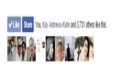 Provide 100 High Quality Website Likes Or Plug In Likes