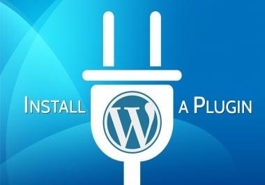 Install WordPress,  Theme,  Plugins In Your Site
