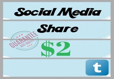 Give You Permanent and Manual 16 High PA DA Social Media Share Help to Google Rank