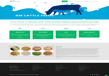 Design And Develop Fully Responsive Website With Free Hosting