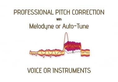 professional correct pitch voice or instrument manually