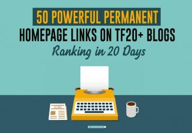 Homepage 50 Permanent PBN backlinks and 3000 2nd Tire Contextual Backlinks