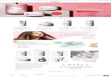 Design Your Complete Shopify Store Shopify Website