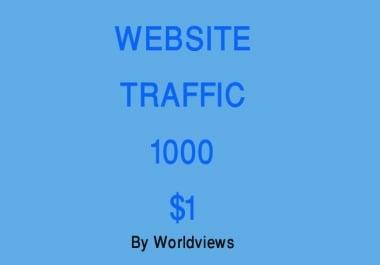 TARGETED Real Human Traffic/Visitors to your Website or Blog