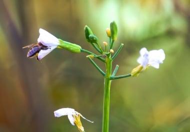 I will provide you with HQ pictures of almost every kind.