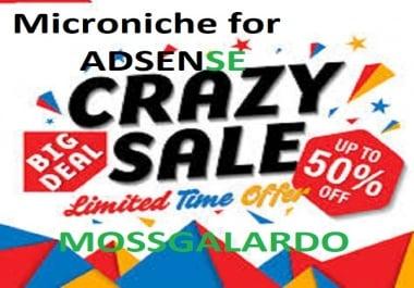 make wordpress unique adsense niche site for you