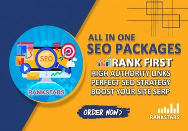 I will do ultimate seo Package for your Websites