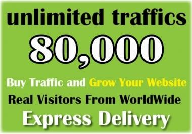 Super Fast 80,000 Worldwide Real Human Website Traffic