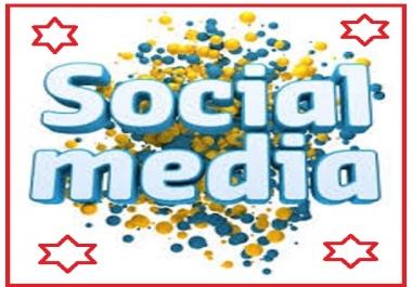 Promote Your Crowdfunding, Website Or any business 13 Million Social Media to Rank Site Web SEO.