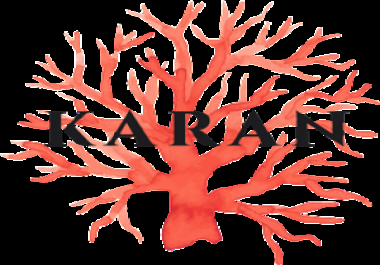 i provide logo design in low price.