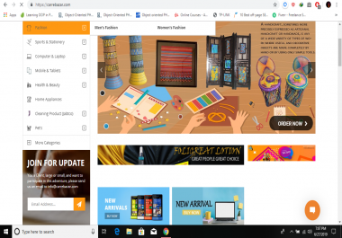 Buil Website for you in Wordpress
