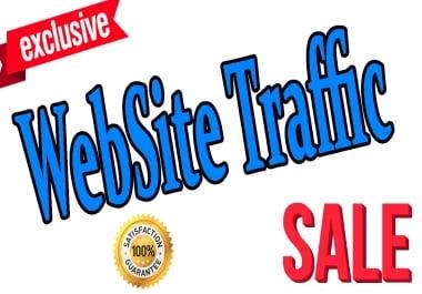 6 Months Real Human Website Traffic