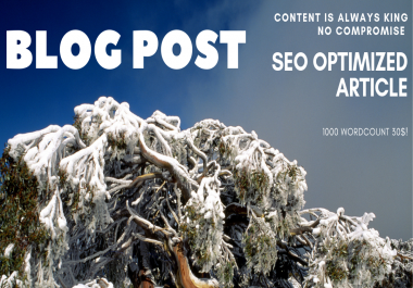 I Will Write 555+ Words Well Researched Article