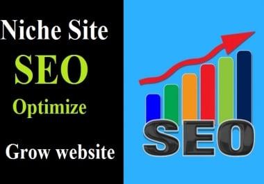 Niche website SEO optimize to SEO rank