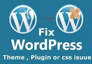 Updates/Fixes/Customization for WordPress Website
